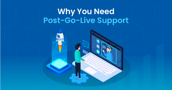 Why You Need Post-Go-Live Support